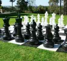 Šah: povijest nastanka i razvoja igre
