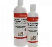 Šampon za pse s klorheksidinom - učinkovit alat za njegu kućnih ljubimaca