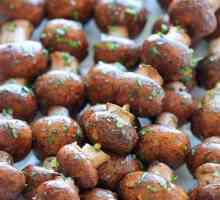 Shish kebab od gljiva: recept za marinade i mogućnosti kuhanja