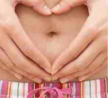 Cervix u ranoj trudnoći: položaj, stanje, otkrivanje
