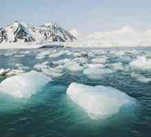 Shema opskrbnog lanca karakteristična za Arktiku pustinju: opcije, osnovni elementi