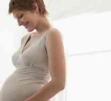Fetalni pokreti: kako računati, testove, senzacije