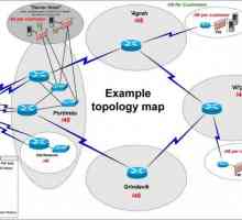 `Bus `- topologija mreže: prednosti, nedostaci