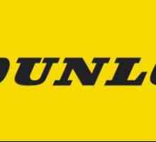Gume Dunlop Eco EC201: recenzije, opis, značajke
