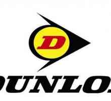 Dunlop Graspic DS3 gume: opis, specifikacije i recenzije