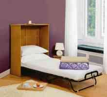 Krevet za spavanje s vlastitim rukama. Kako napraviti krevet, izgrađen u ormaru, vlastitim rukama