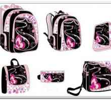 Školske torbe za djevojčice: pregled, vrste, specifikacije i recenzije