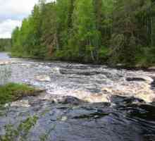 Shuya je rijeka u Karelia. Opis, legura, fotografija