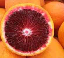Sicilijske crvene naranče: korisna svojstva i kontraindikacije