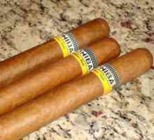 Cigare `Coiba`: opis, recenzije