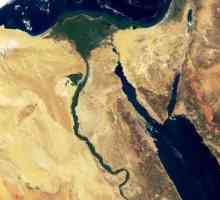 Pustinja Sinaj: opis, područje, zanimljive činjenice