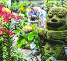 Botanički vrt u Singapuru: povijest, fotografija, kako doći?