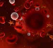 ABO sustav i nasljeđivanje krvne grupe kod ljudi