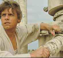 Skywalker Luke ("Ratovi zvijezda"): priča o liku. Tko je igrao Luke Skywalker u `Ratovima…