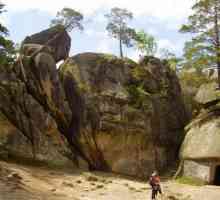 Dovbush Rocks (Ivano-Frankivsk regija): kako doći, opis