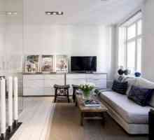 Skandinavski stil u apartmanu: značajke dizajna, kombinacije i zanimljive ideje