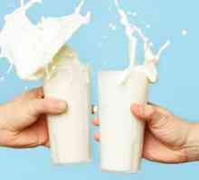 Koliko proteina u mlijeku (po 100 grama). Koliko je proteina u mlijeku u prahu