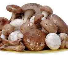 Koliko kalorija postoji u gljivama koje se kuhaju na različite načine?