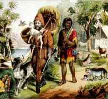 Koliko godina Robinson Crusoe na otoku? Sažetak romana