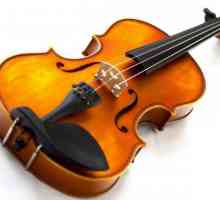Koliko stringova ima violinu i kako funkcionira instrument?