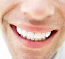Koliko zubi imaju ljudi? Koliko zubi ima osoba? Broj dječjih zuba u djetetu