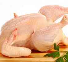 Koliko kuhati piletina? Savjeti za kuhanje jela od pilećih štapića