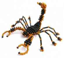 Škorpion s kuglica: skica, shema tkanja. Bead lekcije za početnike