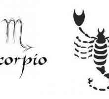 Škorpion: elementi znaka, kompatibilnost
