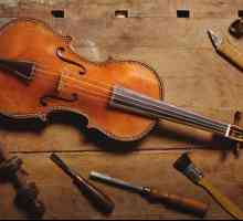 Majstori violina: Antonio Stradivari, Nicolo Amati, Giuseppe Guarneri i drugi