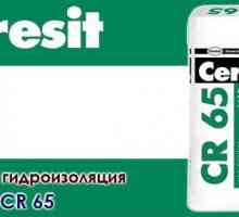 Vodonepropusna smjesa Ceresit CR 65: specifikacije