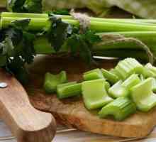 Glatke s celerom: recept za mršavljenje, mogućnosti kuhanja i recenzije