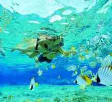 Snorkeling - što je to? Najbolja mjesta za snorkeling