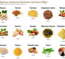 Sadržaj magnezija u hrani: tablica. Prednosti magnezija