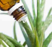 Aloe sok u nosu od obične hrane: recepte, nuspojave
