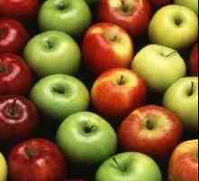 Juicer za jabuke: po kojim kriterijima odabrati