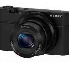 Sony RX100. Sony RX 100 digitalni fotoaparat - specifikacije, cijene
