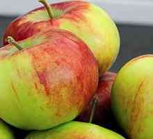 Vrsta jabuke Rossoshanskoe prugasta: opis sorte, osobitosti uzgoja, fotografija