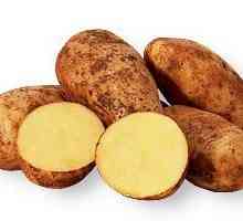 Krompir krumpira - visok prinos i izvrstan okus
