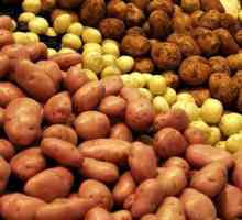 Vrste krumpira u Bjelorusiji: rano, srednje, srednje, srednje kasno, Imena, opis, prinos
