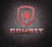 Sastav "Gambit COP: GO". Stvarne informacije