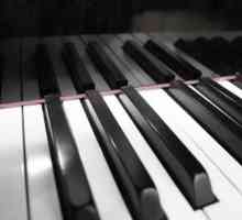 Izrađujemo rečenice riječima `piano`