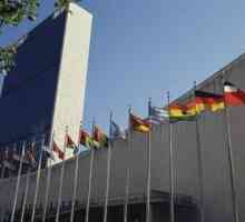 Vijeće sigurnosti UN-a. Stalni članovi Vijeća sigurnosti UN-a