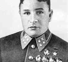 Sovjetski pilot Pavel Rychagov: biografija