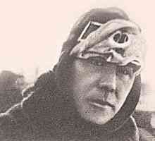 Sovjetski pilot Anisimov Alexander Frolovich: biografija, postignuća, obitelj i zanimljive činjenice