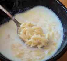 Savjeti o tome kako napraviti mliječnu juhu