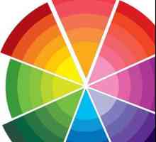 Savjeti za početnike: osnovne i komplementarne boje
