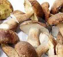 Savjeti: koliko je potrebno kuhati gljive različitih vrsta