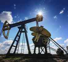 Suvremena velika naftna i plinska poduzeća u Rusiji