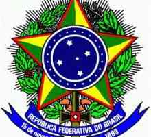 Современный герб Бразилии и флаг страны: история и значение символов