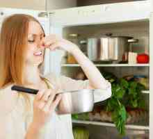 Moderno apsorber od mirisa za hladnjake: kažite "ne" vanjskim mirisima!